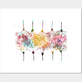 Cortical Neurons Posters and Art